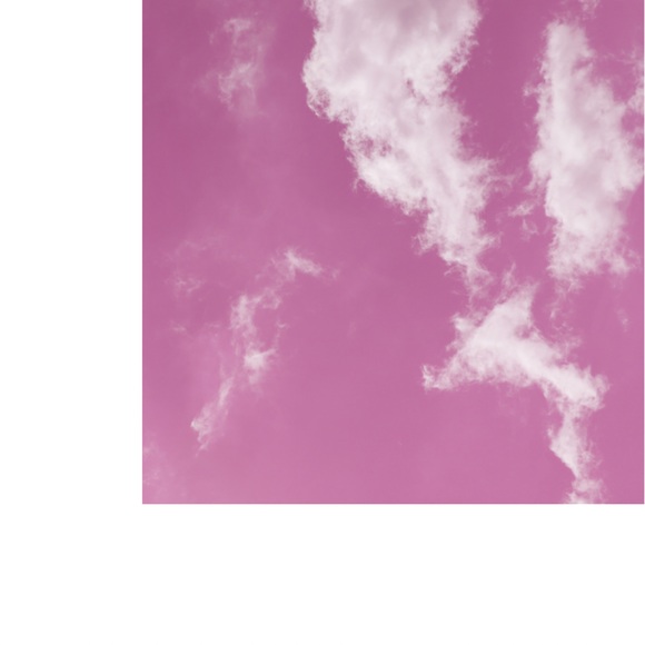 Meet your Posher, Coco - Picture 4 of 4